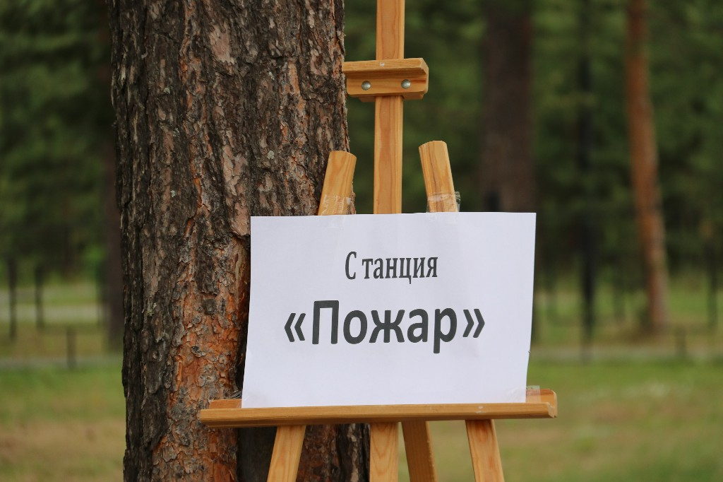 7 июня 2023 года в 10:30 состоялась экологическая познавательная программа – «Путешествие по лесной тропинке»