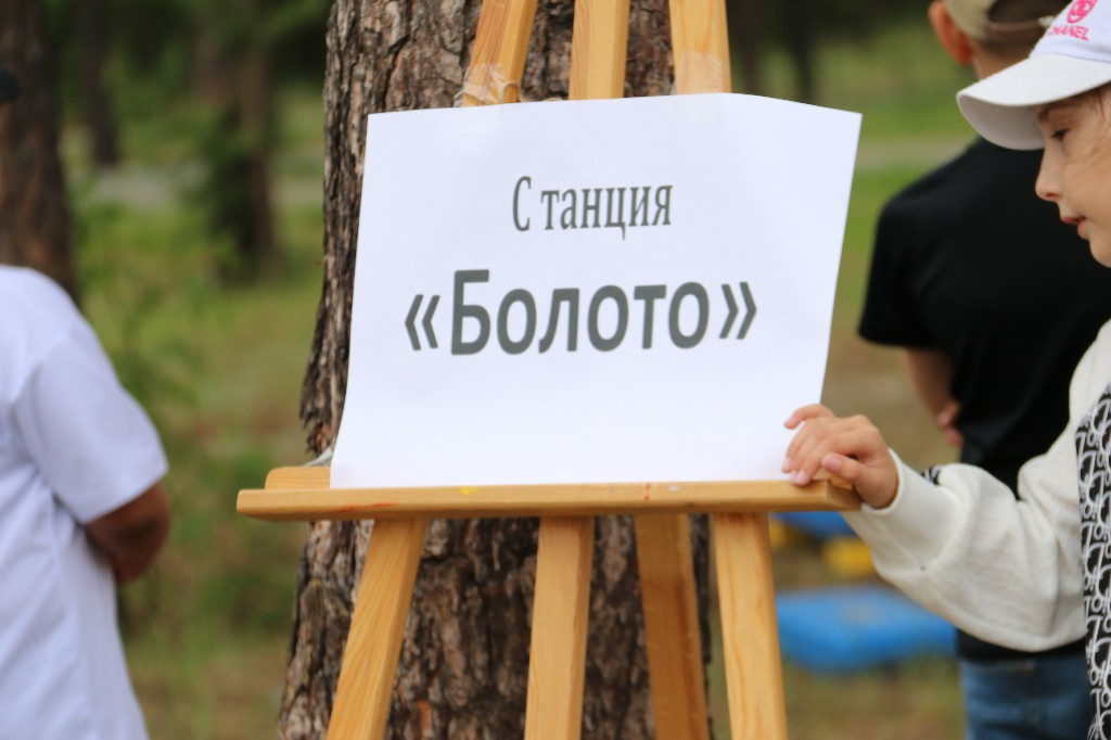 7 июня 2023 года в 10:30 состоялась экологическая познавательная программа – «Путешествие по лесной тропинке»
