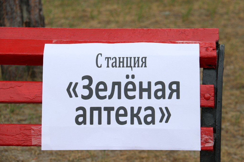 7 июня 2023 года в 10:30 состоялась экологическая познавательная программа – «Путешествие по лесной тропинке»