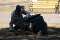 21 мая 2024 года, первый весенний субботник провели работники КДЦ «Кристалл»