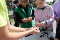 21 июня 2024 — театрализованная игровая программа – «В поисках приключений»