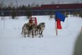 15 марта 2025 — народный праздник — «День рыбака и оленевода»