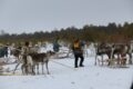 15 марта 2025 года состоялся народный праздник — «День рыбака и оленевода»